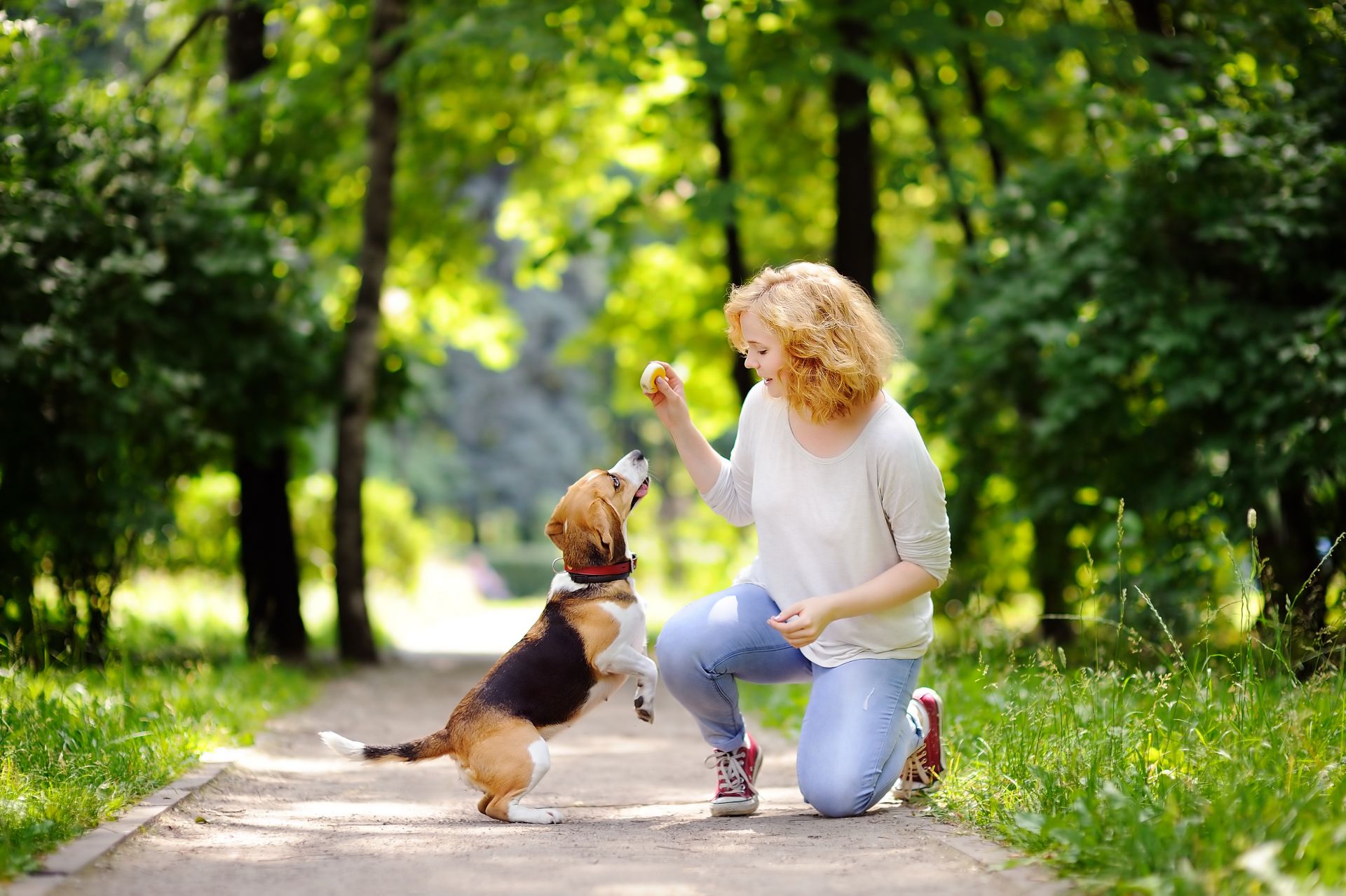 dog and woman.jpeg